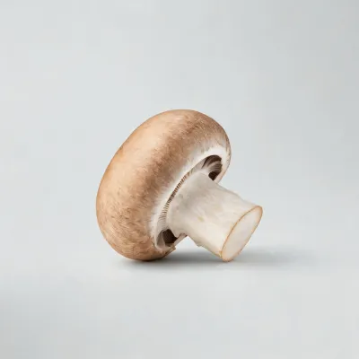 fresh mushroom